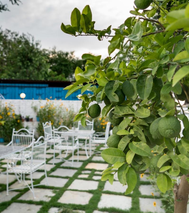 Amour By The Lake Udaipur Exterior foto